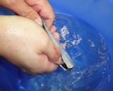 春が旬！サヨリのさばき方【大名おろし】作り方4写真