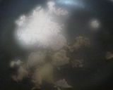 白菜とキャベツのゴマ炒め作り方2写真