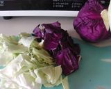 味噌&塩ヨーグルト床でお漬物❤作り方1写真