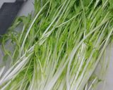 づけちらし作り方30写真