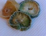 干し大根を作りました。DE・ぶり大根作り方1写真
