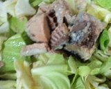 さば缶のさっぱりキャベツ蒸し作り方1写真