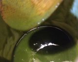 市販のドリンク粉で超簡単！万能ソース♪作り方6写真