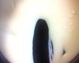 ♤ボロネーゼソースのラザニア♤作り方10写真