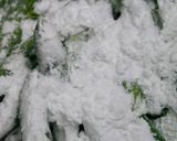 フライドピース作り方4写真