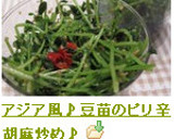 アジア風♪豆苗のピリ辛胡麻炒め♪作り方6写真