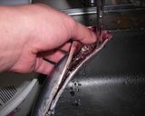 さんまの血合い骨を取ってみた!作り方5写真