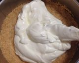 レアチーズケーキ 簡単 混ぜるだけ作り方6写真