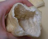 節約レシピ☆あぶらげの巾着煮作り方1写真