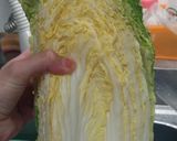 白菜の長持ち保存法作り方5写真