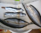 冷蔵庫で味醂干し１：２：２作り方2写真