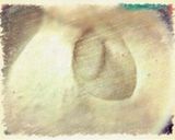 バナナシフォンケーキ作り方6写真