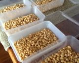 自家製 無添加 地産の手作り納豆作り方12写真