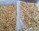 自家製 無添加 地産の手作り納豆作り方13写真