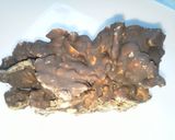 節分豆でチョコシリアルバー作り方5写真