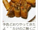 再現✤中華やのオジさん家○秘伝の春巻き✤作り方14写真