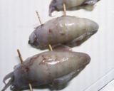 圧力鍋でちっちゃいかめし♪作り方3写真