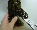 ダイエットに生芽株作り方1写真