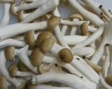 『簡単!!チキンのトマト煮込み』作り方1写真