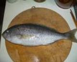 青鯛（アオダイ）の刺身作り方3写真
