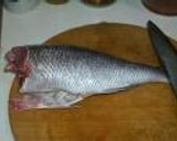 青鯛（アオダイ）の刺身作り方4写真
