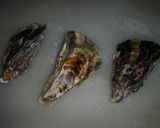殻つき牡蠣を調理シェフ作り方1写真