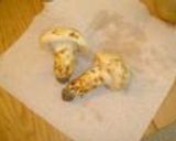 堪能！秋の香りの松茸土瓶蒸し作り方1写真
