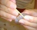 堪能！秋の香りの松茸土瓶蒸し作り方4写真