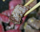 小松菜バター炒め作り方10写真