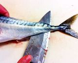 【簡単】　基本の魚のさばき方作り方19写真