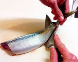 【簡単】　基本の魚のさばき方作り方18写真