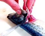 【簡単】　基本の魚のさばき方作り方7写真