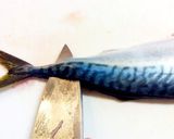 【簡単】　基本の魚のさばき方作り方16写真