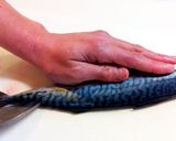 【簡単】　基本の魚のさばき方作り方15写真