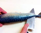 【簡単】　基本の魚のさばき方作り方13写真