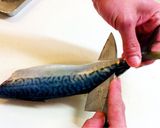 【簡単】　基本の魚のさばき方作り方12写真