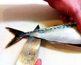 【簡単】　基本の魚のさばき方作り方10写真