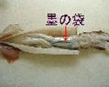 自分で作る♪ｲｶの一夜干し作り方2写真