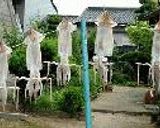 自分で作る♪ｲｶの一夜干し作り方19写真