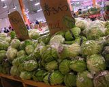 めっけもん♪簡単★キャベツのあっさり漬け作り方1写真
