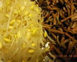 我が家のヒット♥石焼きビビンバ！作り方2写真