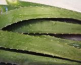 アロエハチミツ作り方1写真