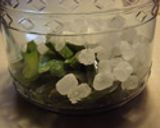 アロエ酒作り方5写真