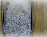 大根とじゃこの和風スパゲティー作り方5写真