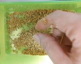 ☆ホウレン草のたっぷりごま和え☆作り方1写真