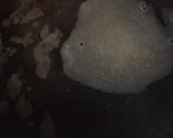 究極の豆腐だけ♡ダイエットどんぶり作り方1写真
