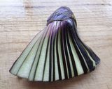 天ぷら七種盛り合わせ作り方4写真