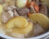 豚肉とりんごカレー♥激ウマ作り方3写真