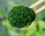 ブロッコリーたまごあんかけ作り方23写真