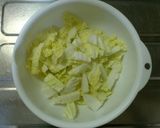 簡単一品＊白菜のピリ辛即席漬け作り方1写真
